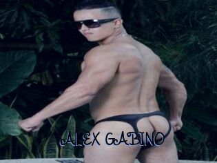 ALEX_GABINO