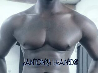 ANTONY_HANDS