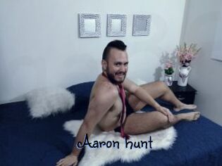 Aaron_hunt