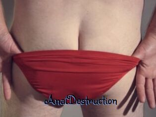 Anal_Destruction