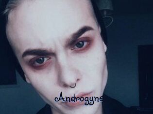 Androgyne