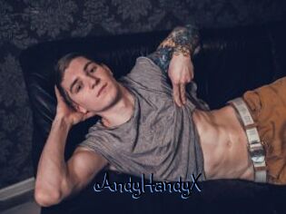 AndyHandyX