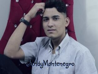 AndyMontenegro