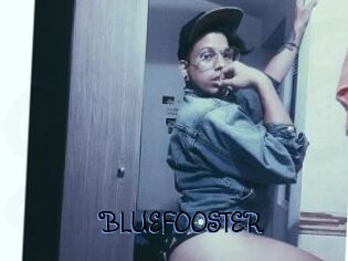 BLUEFOOSTER