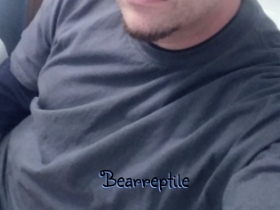 Bearreptile