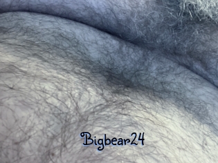 Bigbear24