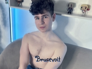 Brucevolt