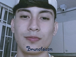 Brunofalcon