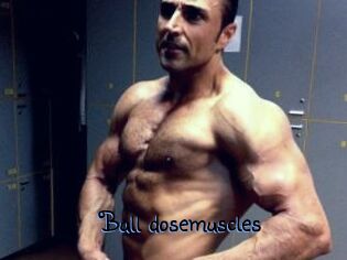 Bull_dosemuscles