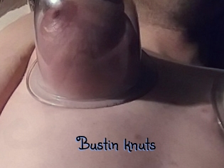 Bustin_knuts