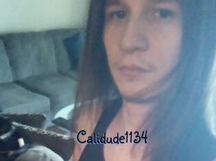 Calidude1134