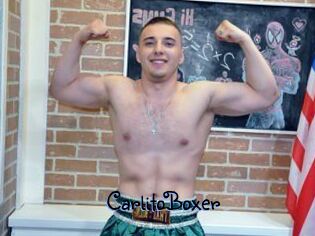 CarlitoBoxer