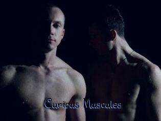 Curious_Muscules