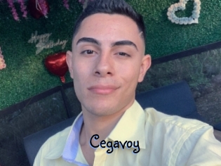 Cegavoy