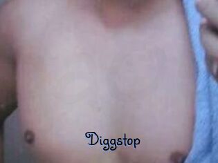 Diggstop