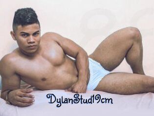 DylanStud19cm