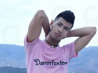 Damnfoxter