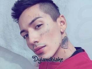 Dylandblake