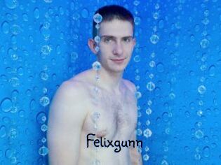 Felixgunn