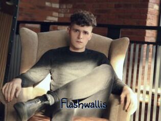 Flashwallis