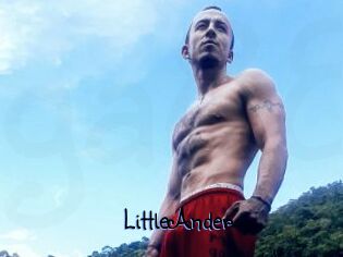 LittleAnder