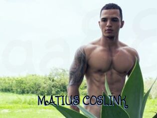 MATIUS_COSLINK