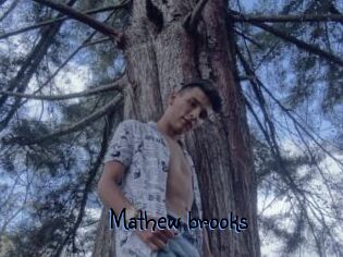 Mathew_brooks