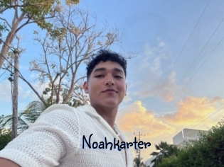 Noahkarter