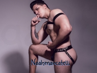 Noahmarcatelli