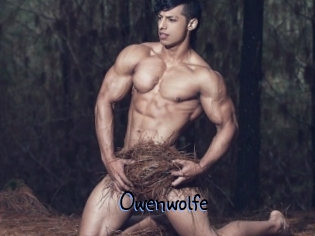 Owenwolfe