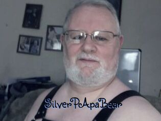 SilverPApaBear