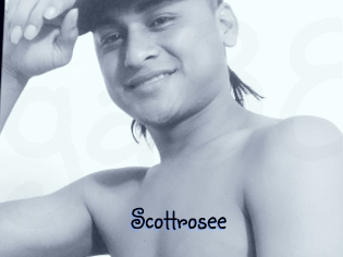 Scottrosee