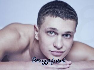 Sexygayhard