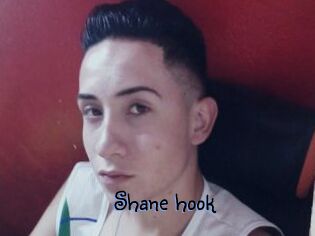 Shane_hook