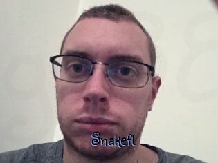 Snakefl