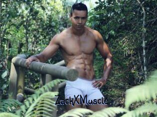 ZackXMuscle