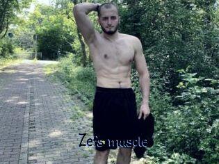 Zefs_muscle